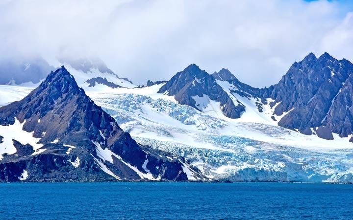 Scalo Elephant Island